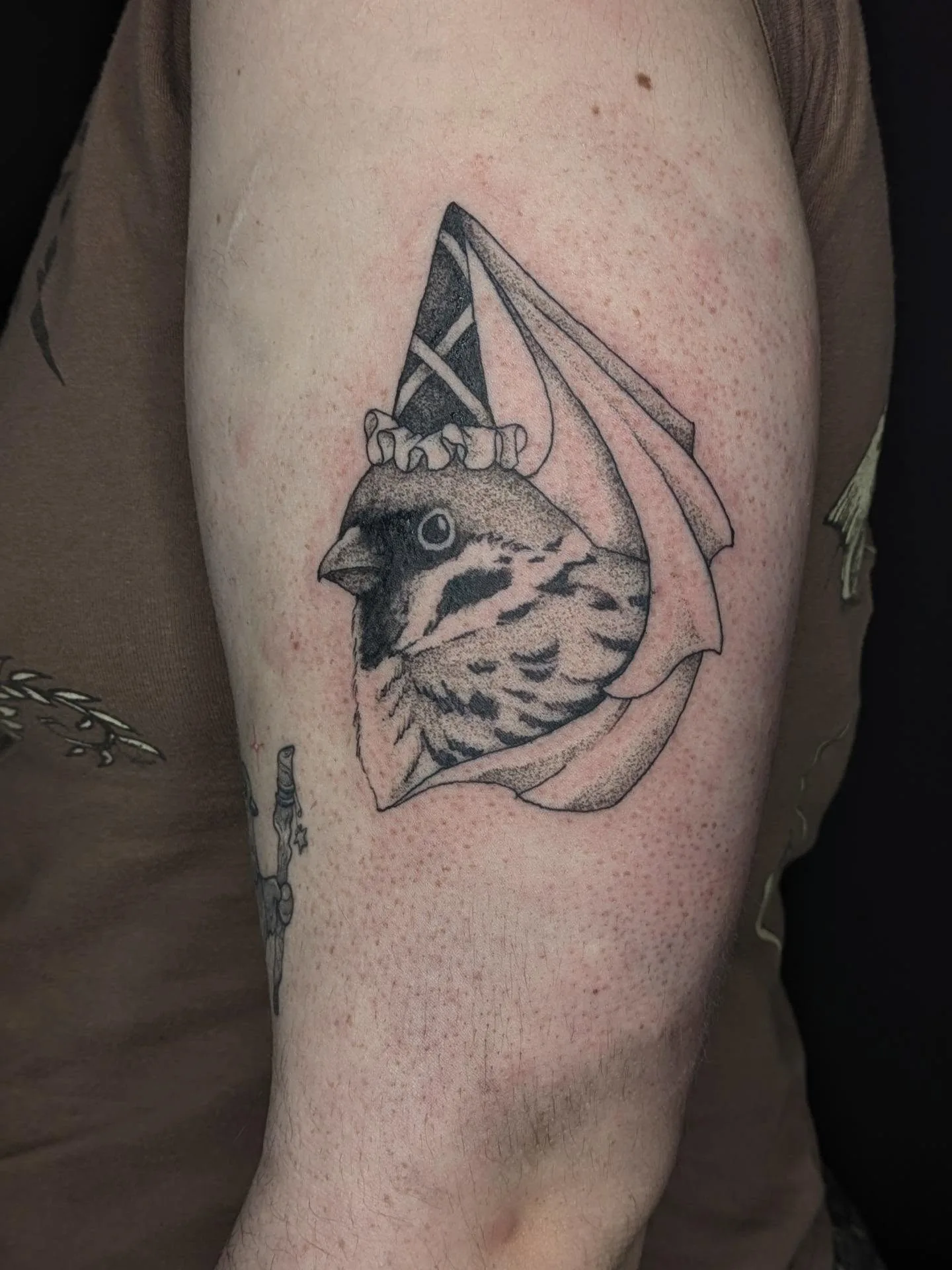 Dotwork black and grey sparrow emerging from a draped saltire-cross flag on the upper arm