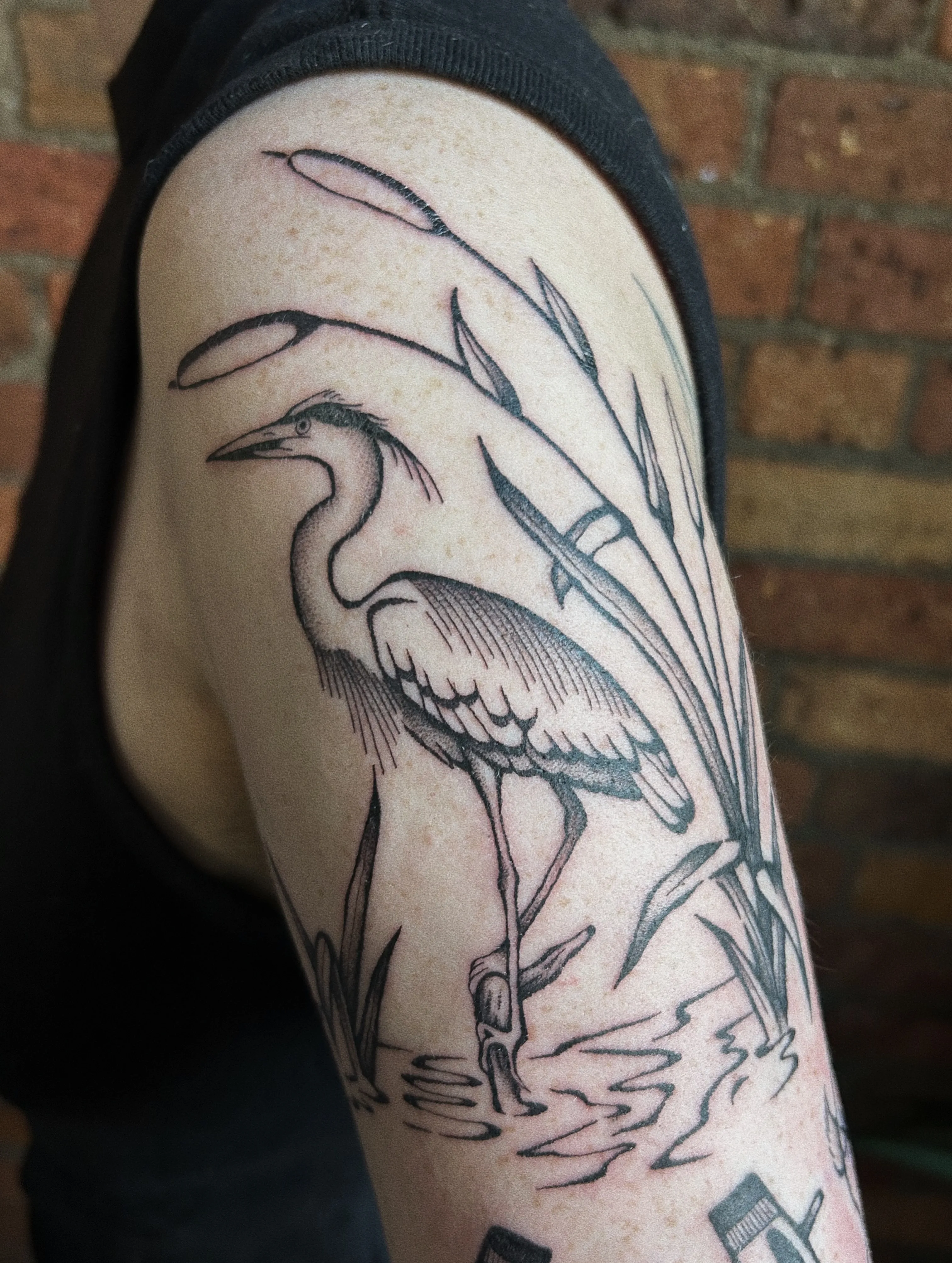 Black and grey upper-arm tattoo — heron among reeds at the waterline